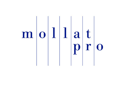 Mollat Pro, Bordeaux